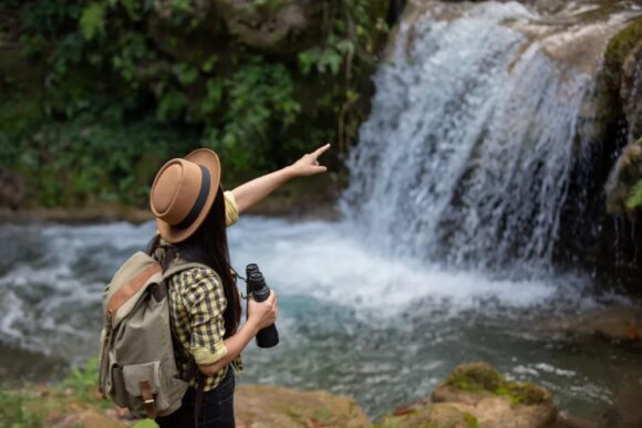 Gold Coast Hinterland Tours