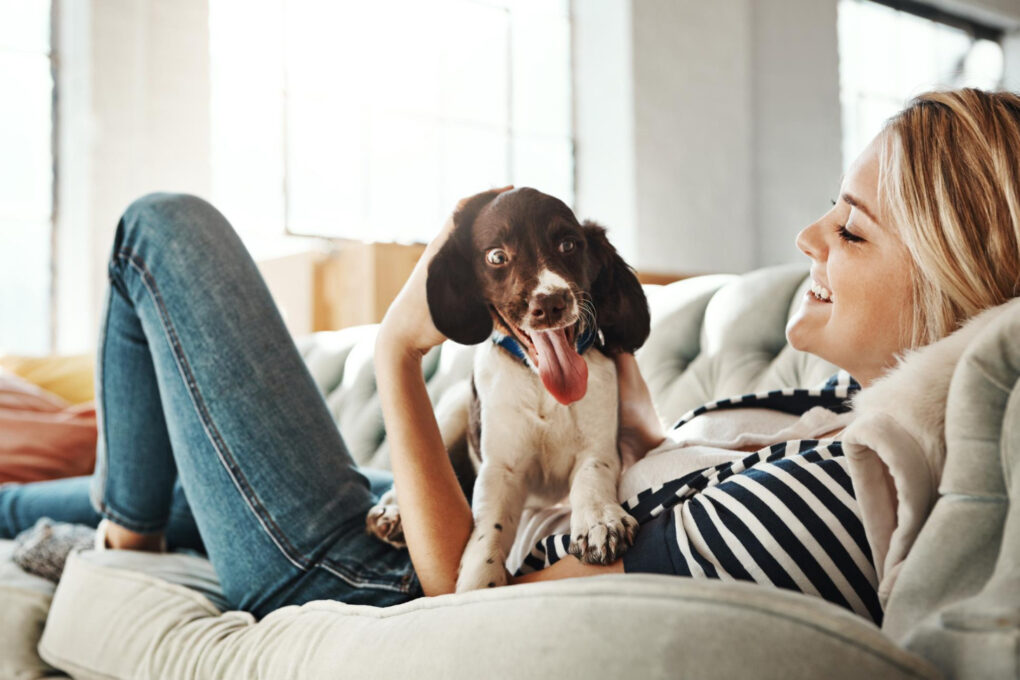 Pet-Friendly Gold Coast Accommodation for Your Next Holiday